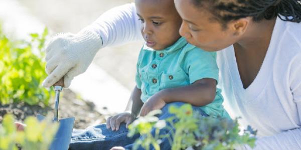 7 Tips for Vegetable Gardening With Your Toddler