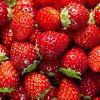 Strawberry whole un calibrated (eu) - 1*10KG