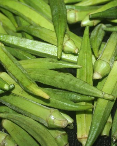 Okra