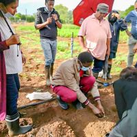 Potato Seed Production