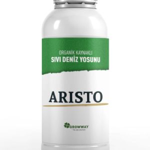 aristo