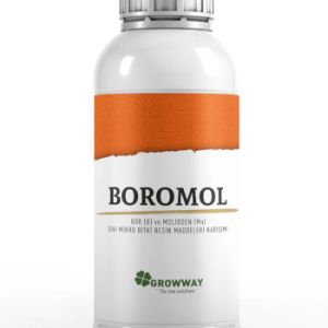 Boromol