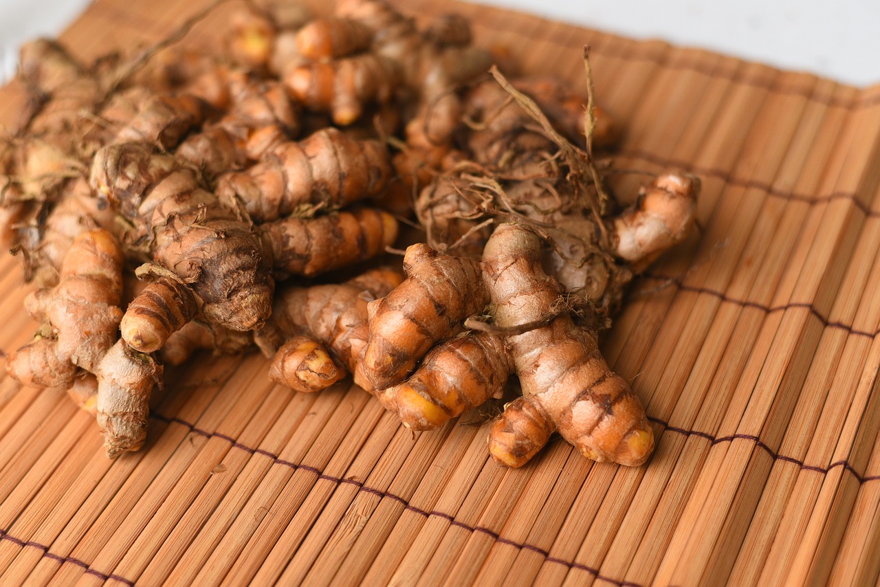 Growing and Caring for Turmeric: A Guide for Home Gardeners