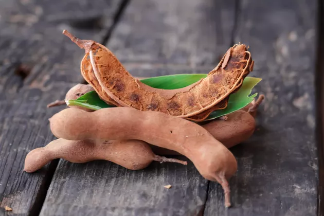 Growing Tamarind Seeds