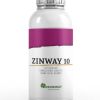 Zinway 10