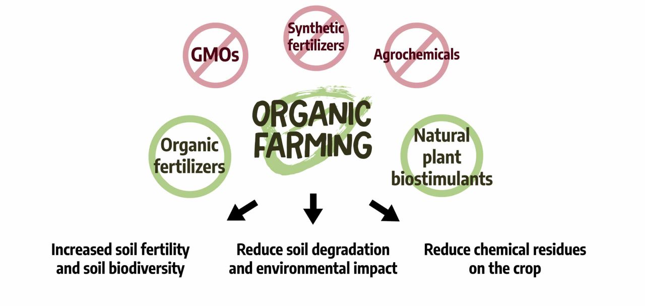 Converting Small Farms to Organic Production