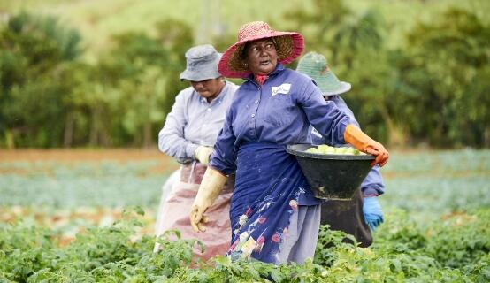 Women in Mauritius cultivating hope