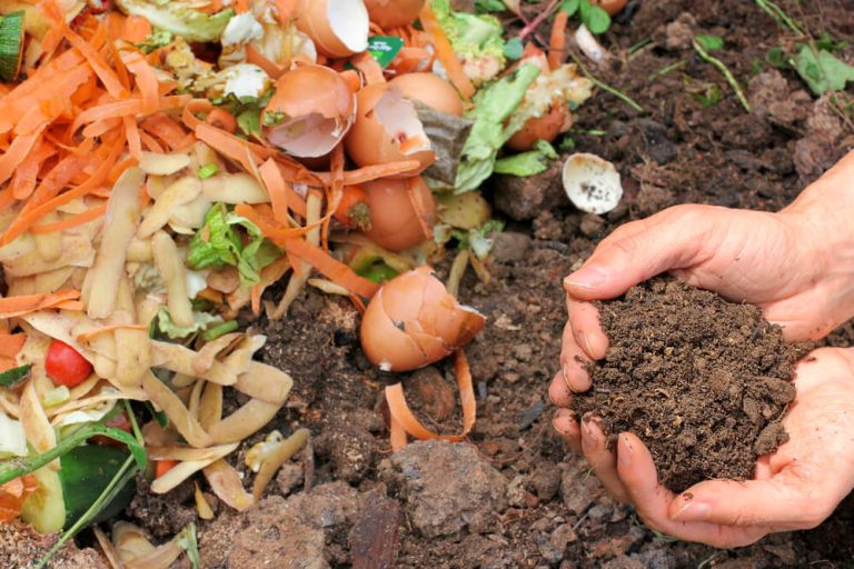 Composting at home