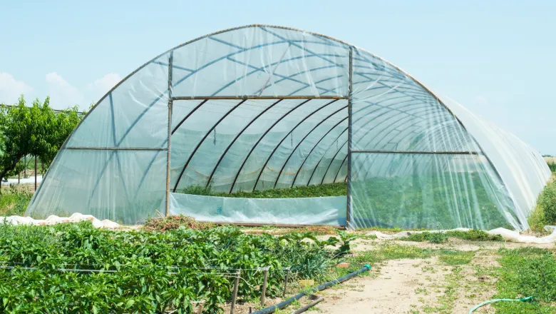 How to Build a Greenhouse