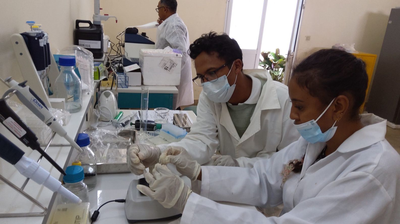 Training on Pesticide Residue Detection at the Food Technology Laboratory