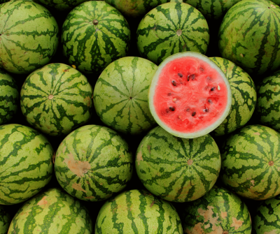 How to Grow Watermelon