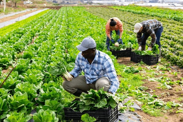 Farmers Excellence Award Celebrates Contributions to Agriculture