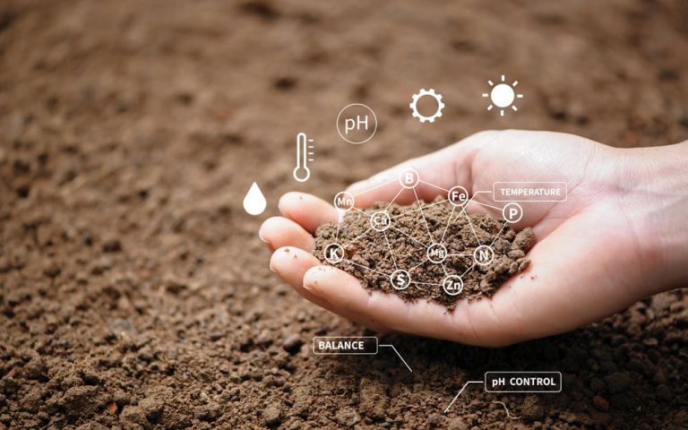 Choosing the right soil type