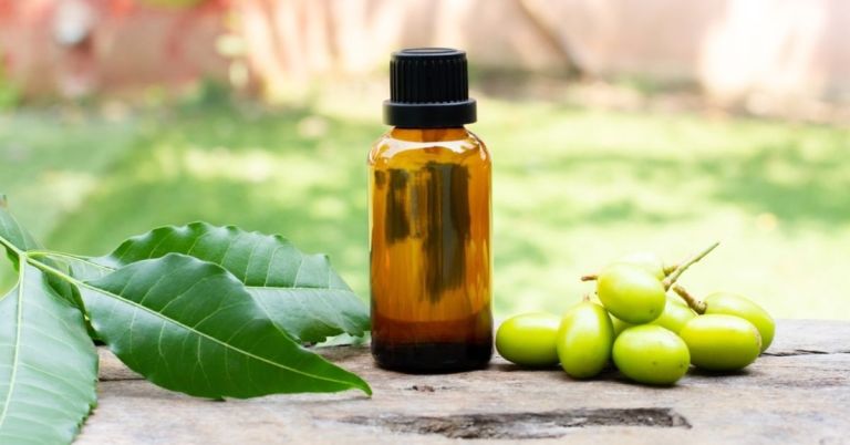 Neem Oil for Pest Control