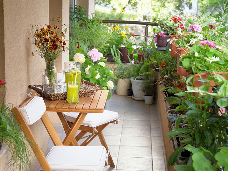 balcony pollinator garden