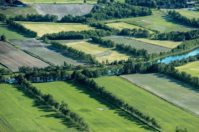 planting windbreaks for farms