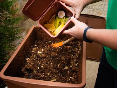 Composting with worms