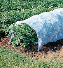 How to Use Floating Row Covers for Pest Control and Season Extension