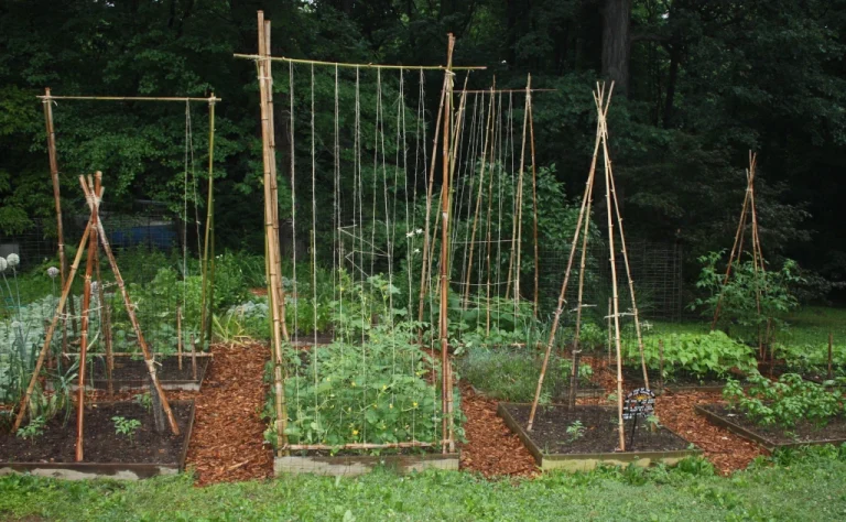 DIY Bamboo Trellis for Garden