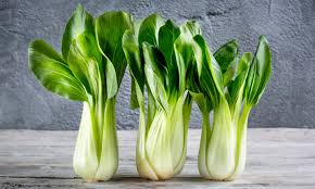 Bok Choy (brede tom pouce ) Growing Guide