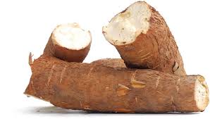 Growing Cassava (manioc): Roots of Success