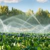 Smart Irrigation Controller