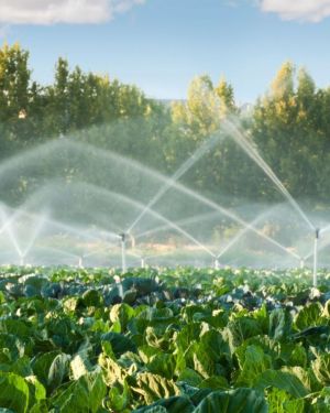 Smart Irrigation Controller