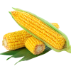 Maize / Corn / Maïs (per Kg)